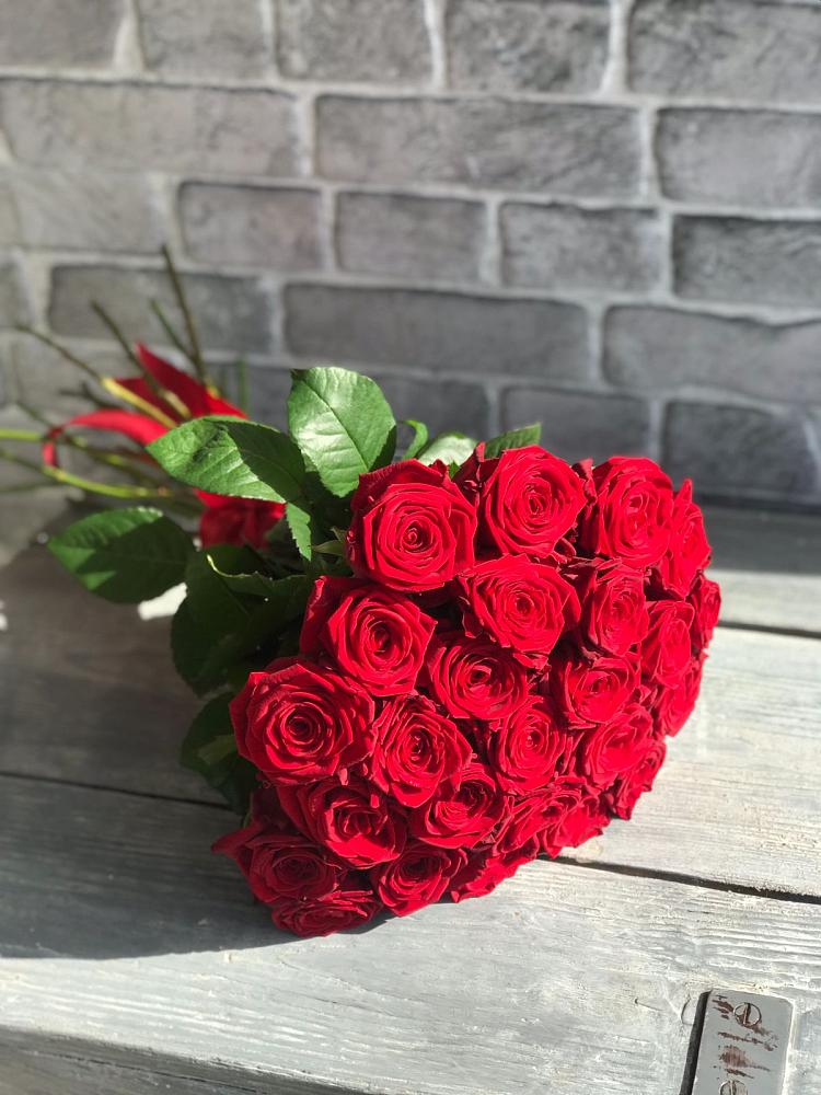 Букет Красные розы Фридом в Самойловке