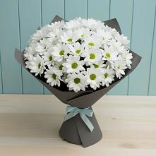Букет цветов из:  Хризантемы в Самойловке