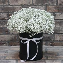 Цветочная композиция из Гипсофила в шляпной коробке в Самойловке